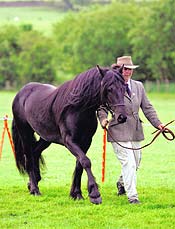 Kerbeck Smugglers fire owned by Debbie Gaskin attending his first ever show: FPS Sizergh 2005